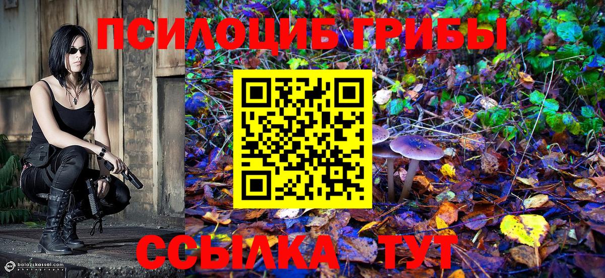Галлюциногенные грибы Cubensis  Вход с VPN  Галлюциногенные грибы Psilocybine cubensis  Усолье-Сибирское 